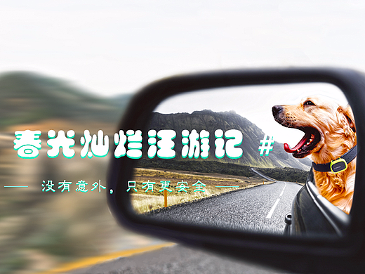 春光灿烂汪游记