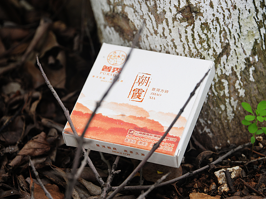 春露 、朝霞   普洱茶包装