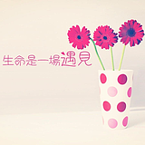 棒棒糖1314的头像