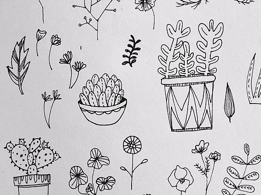 手繪植物（個人主頁-ZMjM3MzM1OTY=） - 創(chuàng)作習(xí)作 - 站酷設(shè)計師冰糖瘦子原創(chuàng)素材 - 站酷ZCOOL