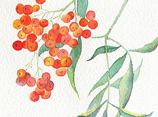 部分水彩练习（个人主页-ZMjMwMzk1MjA=） - 创作习作 - 站酷设计师LoFung_原创素材 - 站酷ZCOOL