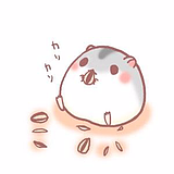 Or_Gir的头像