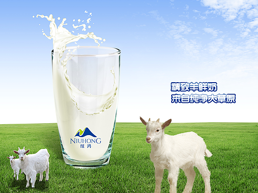大连纽鸿羊奶（个人主页-ZMjI3ODQ5Njg=） - 宣传物料 - 站酷设计师小天使1号原创素材 - 站酷ZCOOL