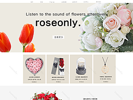 網(wǎng)站及包裝