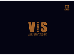 VIS视觉识别系统CX