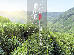 茶详情