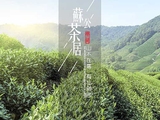 苏公茶居详情描述设计 