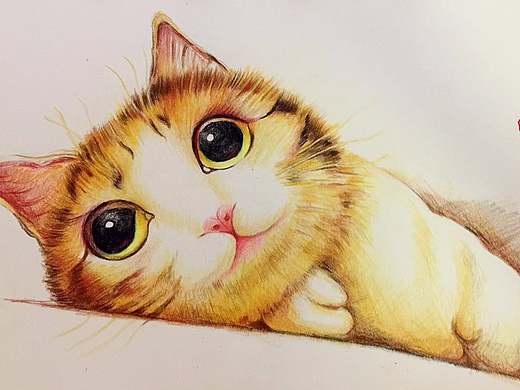 手绘猫咪彩铅