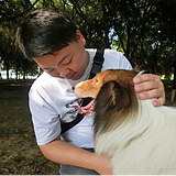 啊bee的头像