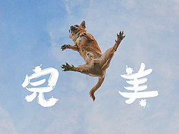 完美假期-家居自主活动