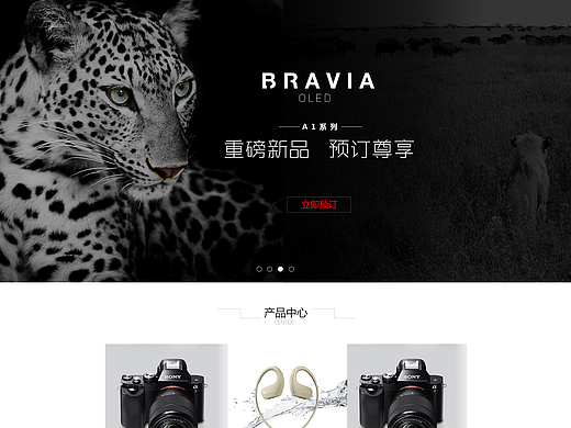 企业网站