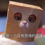 厌世少女的头像