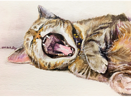 水彩之猫07