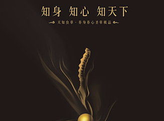 终端设计——天知