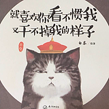 同九年独秀的头像