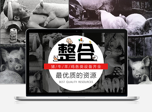 畜牧首页