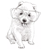 Samoyed爱吃荔枝的头像