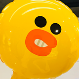 icemonkey的头像