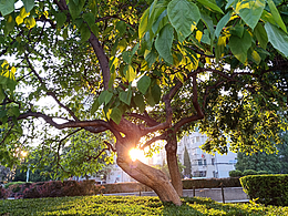 繁華中一片寧靜