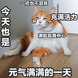 胸前一对大白兔的头像