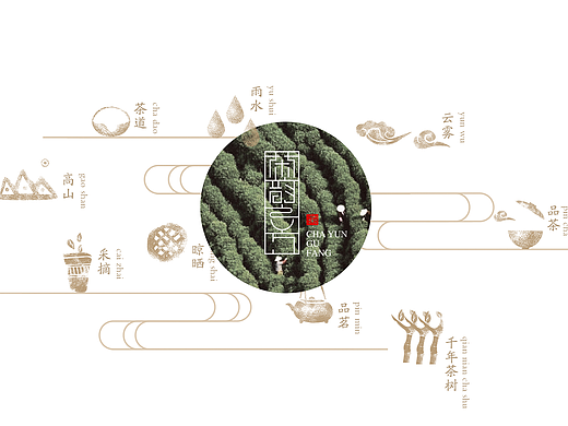 茶叶包装 白茶包装 包装设计 
