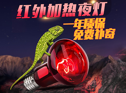 详情页-爬宠灯具/红外加热夜灯