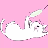 峰喵的头像