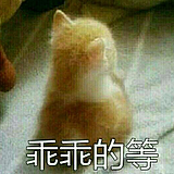 凶巴巴的肉球的头像