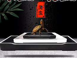 可用