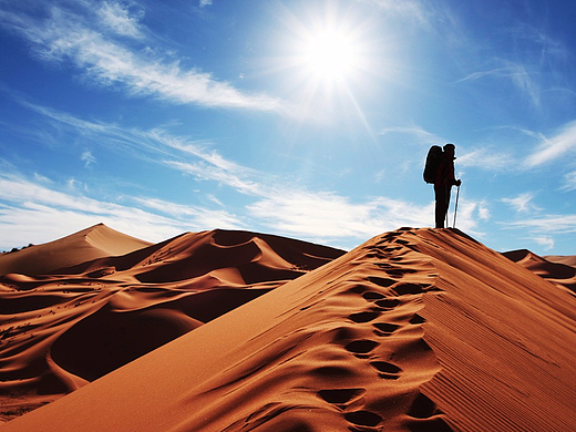 1天彩票竞品分析