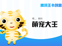 腾讯王卡品牌形象设计-萌宠大王