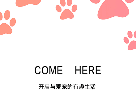 宠爱