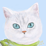 catkoala的头像