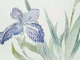 装饰画