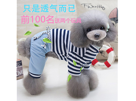 主圖（個(gè)人主頁-ZMjIyNjcyMjQ=） - 品牌 - 站酷設(shè)計(jì)師劉珊珊網(wǎng)頁設(shè)計(jì)師原創(chuàng)素材 - 站酷ZCOOL