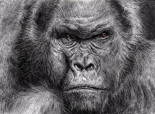 “猩”無(wú)極限，愛(ài)無(wú)邊界（個(gè)人主頁(yè)-ZMjUzMzMyNzI=） - 海報(bào) - 站酷設(shè)計(jì)師瓦達(dá)西瓦一梵高原創(chuàng)素材 - 站酷ZCOOL