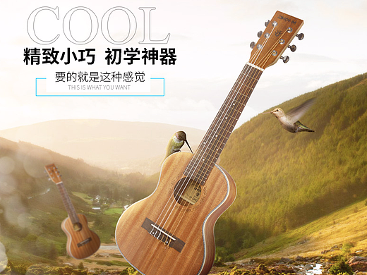 吉他，乐器，音乐，小提琴详情