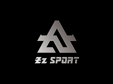 2017-《粽子运动品牌设计》