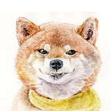 歆歆Orang的头像