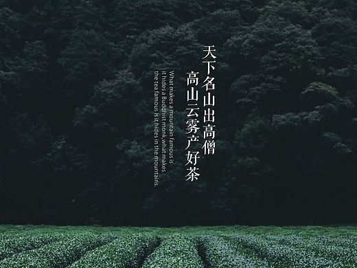 画册