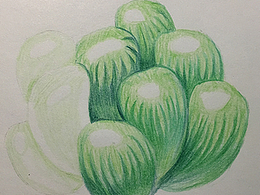 手繪多肉9 過程