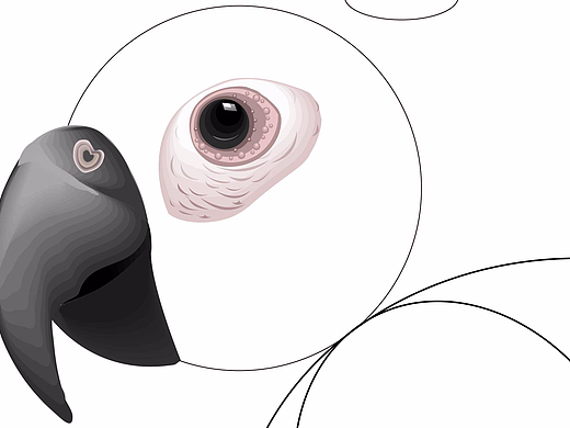 空（个人主页-ZMjIyMzM1NzI=） - 海报 - 站酷设计师PURPHY原创素材 - 站酷ZCOOL