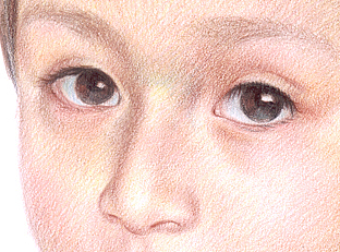 彩铅画技法