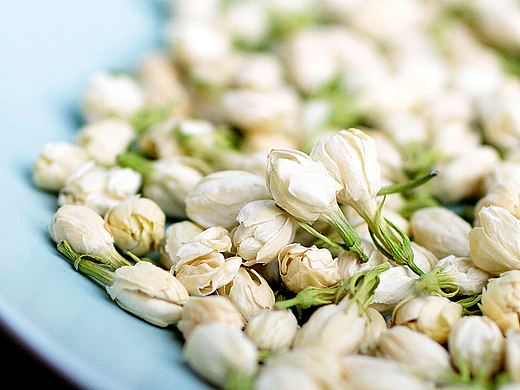 茉莉花苞拍摄（花草茶系列）