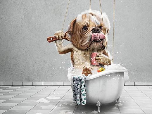 手机主题设计（个人主页-ZMjM0Nzk1NzI=） - 主题/皮肤 - 站酷设计师我的心情很番茄原创素材 - 站酷ZCOOL