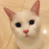绘晴天的头像