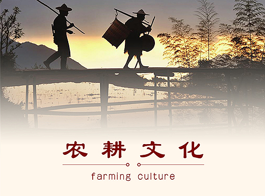 icon 主题图标 平面设计 排版设计 UI设计 