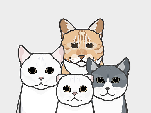 吸猫大法好 - 我生活里的猫