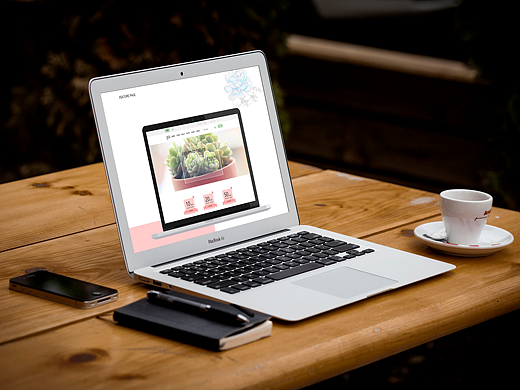 多肉电商-专题页