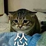 蛋挞天王的头像